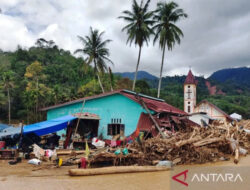Tanaman Siap Panen Jadi Busuk, Petani Tapanuli Tengah Terpukul Dua Kali: Rumah Hancur, Kebun Punah – TIMES Banyuwangi