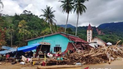 tanaman-siap-panen-jadi-busuk,-petani-tapanuli-tengah-terpukul-dua-kali:-rumah-hancur,-kebun-punah-–-times-banyuwangi