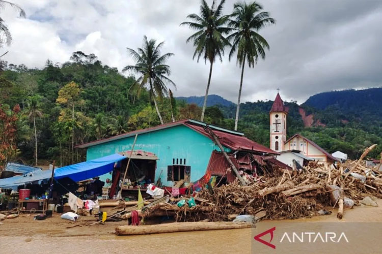 tanaman-siap-panen-jadi-busuk,-petani-tapanuli-tengah-terpukul-dua-kali:-rumah-hancur,-kebun-punah-–-times-banyuwangi