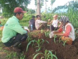 Tak Percaya Kios Lokal, Poktan Barokah ‘Hijrah’ Ambil Pupuk ke Desa Sebelah