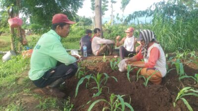 tak-percaya-kios-lokal,-poktan-barokah-‘hijrah’-ambil-pupuk-ke-desa-sebelah