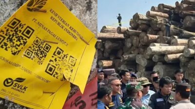 investigasi-kayu-terdampar-di-lampung,-apa-hubungannya-dengan-konsesi-hutan-di-mentawai?