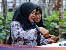 Bupati Ipuk Ingin Warga Desa Jadi Aktor Utama Wisata Ijen Golden Route