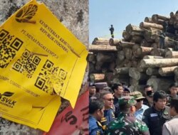 Heboh Kayu Gelondongan 4.800 Kubik di Pantai Tanjung Setia, Benarkah Milik PT Minas Pagai Lumber?
