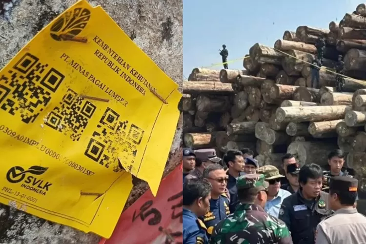 heboh-kayu-gelondongan-4.800-kubik-di-pantai-tanjung-setia,-benarkah-milik-pt-minas-pagai-lumber?