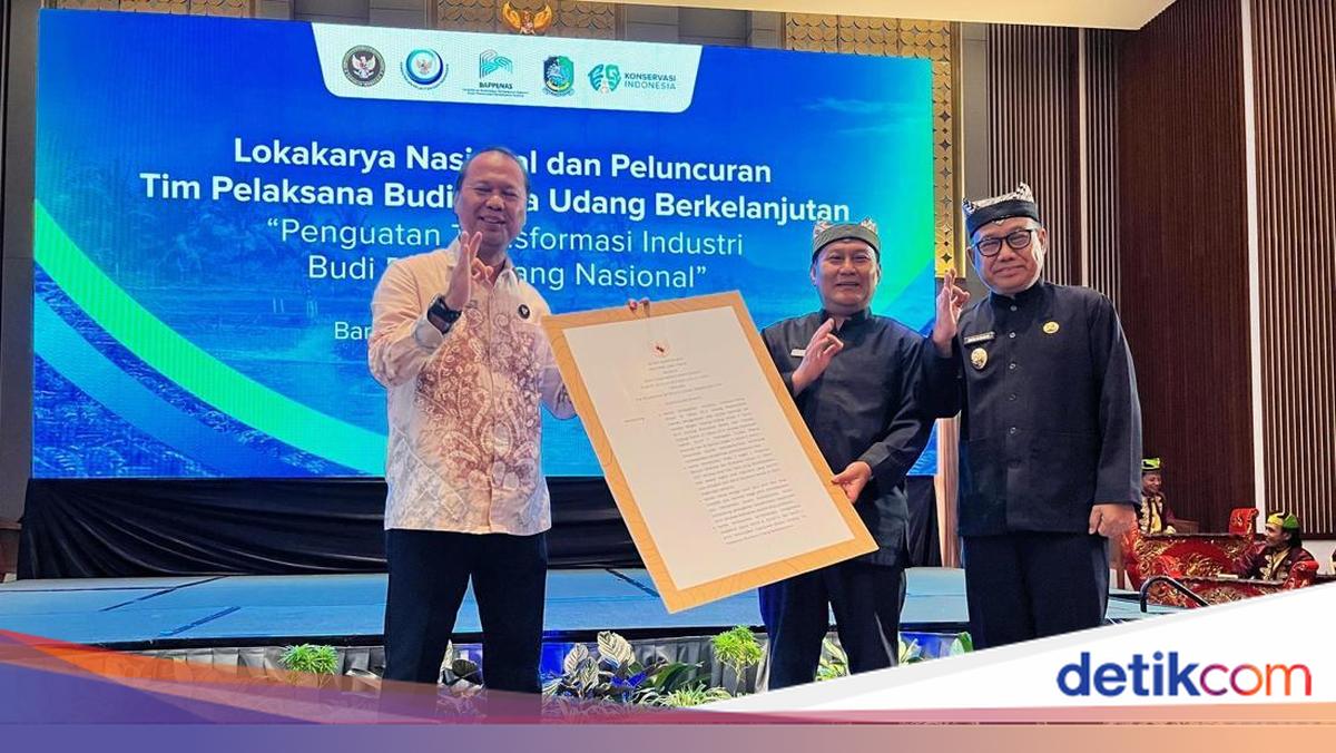 kemenko-pangan-dukung-banyuwangi-bentuk-tim-tata-kelola-udang