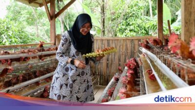 unik,-desa-pakel-banyuwangi-bagi-telur-gratis-dari-peternakan