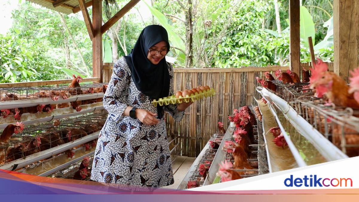 unik,-desa-pakel-banyuwangi-bagi-telur-gratis-dari-peternakan