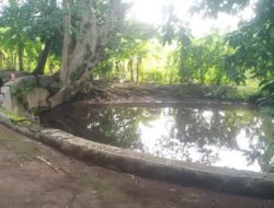 Sumber Kencono, Cikal Bakal Nama Desa yang Menyimpan Nuansa Mistis