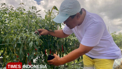 jadi-petani-itu-cuan-–-times-banyuwangi