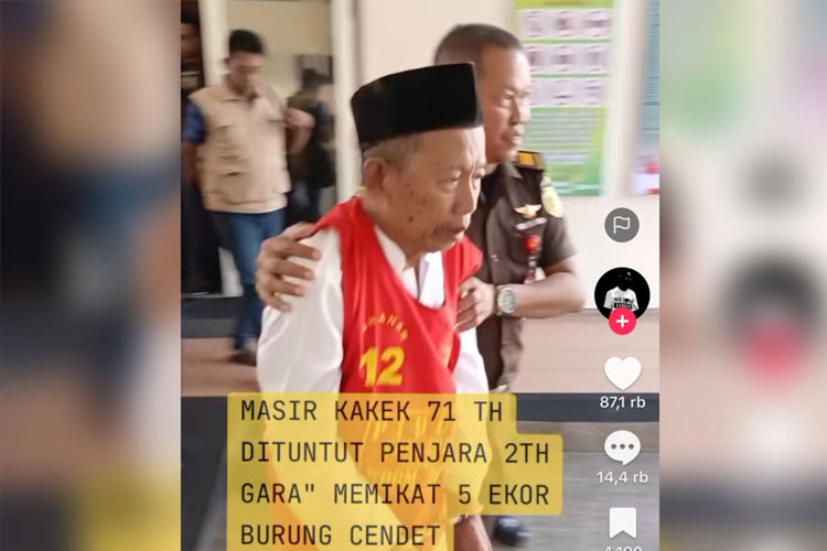 kakek-masir-dituntut-dua-tahun-penjara-atas-kasus-penangkapan-burung-di-tn-baluran-–-times-banyuwangi