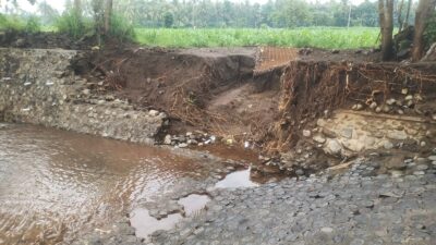 baru-hitungan-hari,-plengsengan-jembatan-kajar-jebol-dihantam-banjir,-petani-curahsawo-cemas-lahan-jagung-terancam