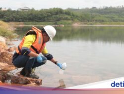 Jaga Lingkungan, PT BSI Terapkan Reklamasi Progresif di Banyuwangi