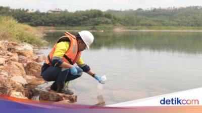 jaga-lingkungan,-pt-bsi-terapkan-reklamasi-progresif-di-banyuwangi