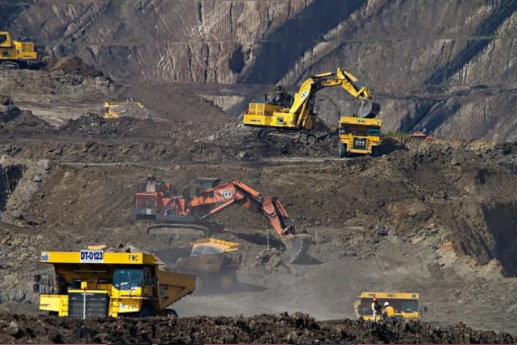 pbnu:-isu-tambang-jadi-pangkal-konflik-internal-–-times-banyuwangi