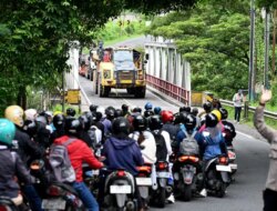 Truk Trailer Angkut Alat Berat Terperosok di Jembatan Tambong Kabat, Lalu Lintas Banyuwangi-Jember Tersendat