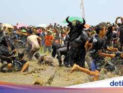Ritual Kebo-keboan Alasmalang, Tradisi Osing Banyuwangi di Bulan Suro
