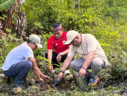 Tanam 1 Ribu Pohon di Parapuar, BPOLBF Ajak CEO Wujudkan Pariwisata Berkelanjutan Labuan Bajo – TIMES Banyuwangi