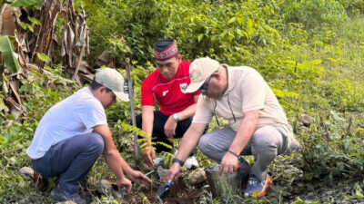 tanam-1-ribu-pohon-di-parapuar,-bpolbf-ajak-ceo-wujudkan-pariwisata-berkelanjutan-labuan-bajo-–-times-banyuwangi