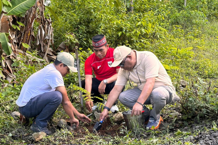 tanam-1-ribu-pohon-di-parapuar,-bpolbf-ajak-ceo-wujudkan-pariwisata-berkelanjutan-labuan-bajo-–-times-banyuwangi