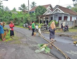 Jembatan Ambrol di Songgon Banyuwangi Ganggu Akses Panen, Warga Terus Berjaga
