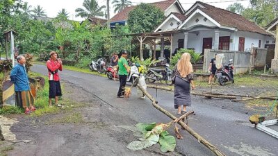 jembatan-ambrol-di-songgon-banyuwangi-ganggu-akses-panen,-warga-terus-berjaga