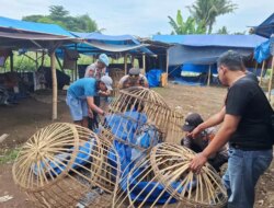 Cegah Judi Sabung Ayam, Polresta Banyuwangi Musnahkan Fasilitas di Desa Alasmalang