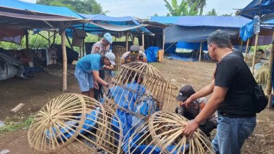 cegah-judi-sabung-ayam,-polresta-banyuwangi-musnahkan-fasilitas-di-desa-alasmalang