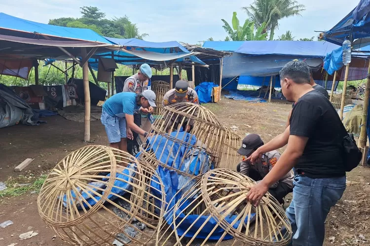 cegah-judi-sabung-ayam,-polresta-banyuwangi-musnahkan-fasilitas-di-desa-alasmalang