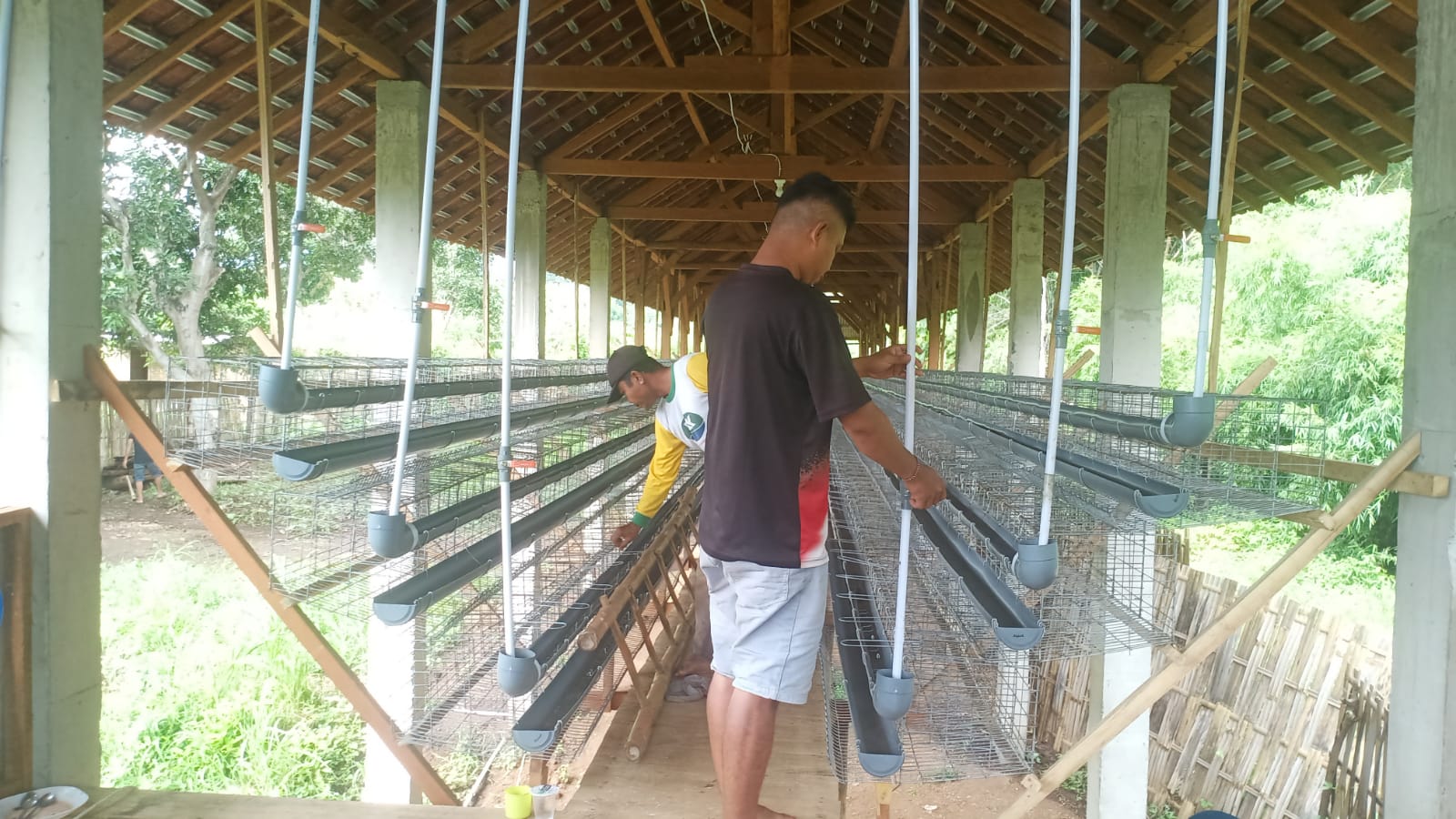 kandang-ayam-desa-alasbuluh,-siap-tampung-1000-ekor
