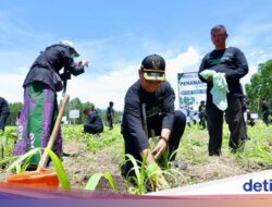 Cegah Bencana Hidrometeorologi, Banyuwangi Tanam 200 Ribu Pohon
