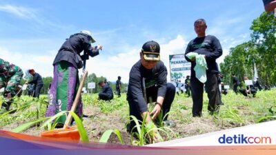 cegah-bencana-hidrometeorologi,-banyuwangi-tanam-200-ribu-pohon