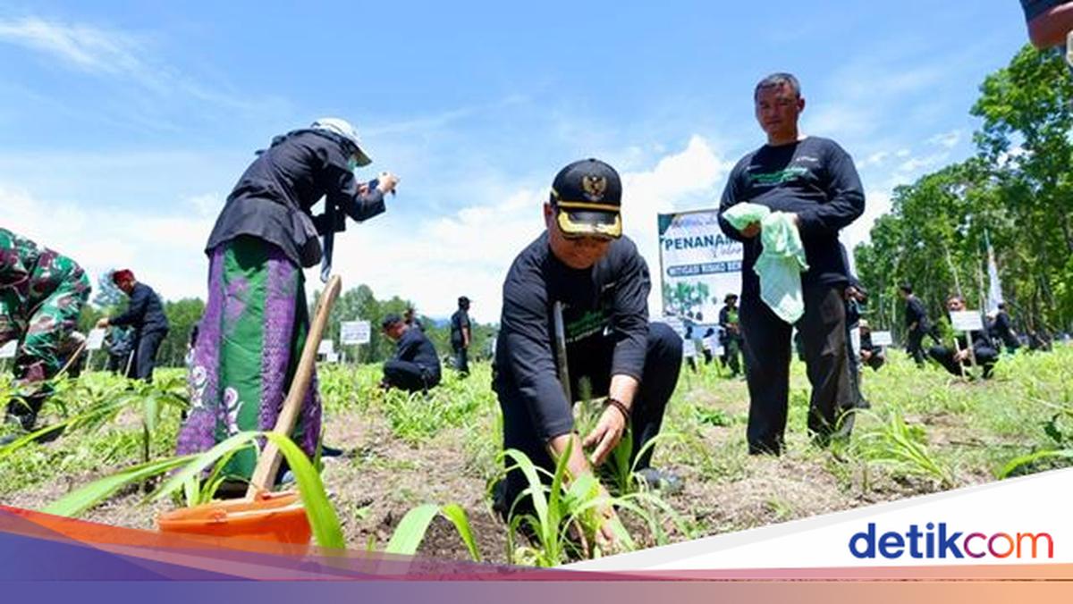 cegah-bencana-hidrometeorologi,-banyuwangi-tanam-200-ribu-pohon