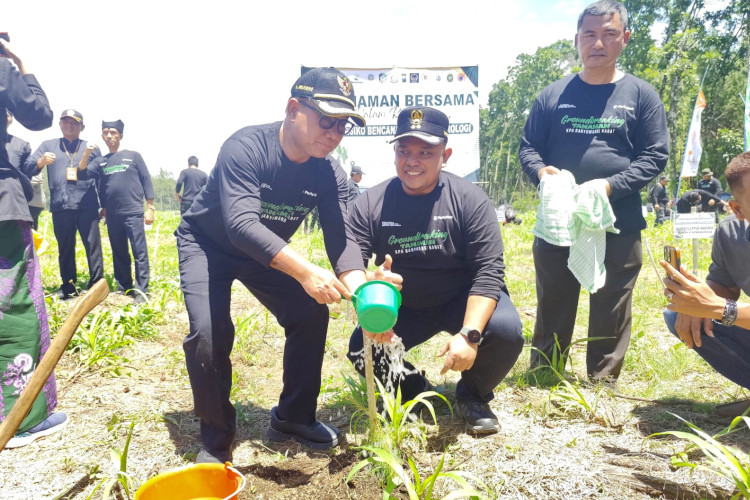 gandeng-forkopimda,-perhutani-banyuwangi-barat-tanam-ratusan-ribu-tanaman-hutan-–-times-banyuwangi