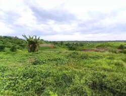 Penlok Berakhir 7 Maret 2026, Masa Depan Tol Gilimanuk–Mengwi Terancam, Ribuan Warga Bali Terjebak Ketidakpastian