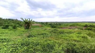 penlok-berakhir-7-maret-2026,-masa-depan-tol-gilimanuk–mengwi-terancam,-ribuan-warga-bali-terjebak-ketidakpastian