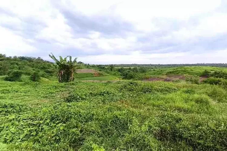 penlok-berakhir-7-maret-2026,-masa-depan-tol-gilimanuk–mengwi-terancam,-ribuan-warga-bali-terjebak-ketidakpastian