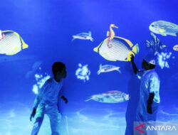 Menjelajahi Dunia Virtual: 5 Destinasi Wisata Ruang Imersif di Jakarta – TIMES Banyuwangi