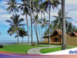 3 Hotel di Banyuwangi yang Asyik buat Staycation Akhir Tahun
