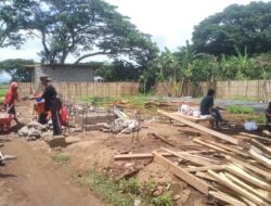 Kandang Ayam Ambruk, Dana Dipertanyakan! BUMDes Bimorejo Bangun Ulang dengan Skema Baru