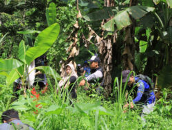 Gerakan 5000 Pohon Sesi Ketiga Digelar di Lereng Selatan Gunung Penanggungan – TIMES Banyuwangi