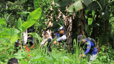 gerakan-5000-pohon-sesi-ketiga-digelar-di-lereng-selatan-gunung-penanggungan-–-times-banyuwangi