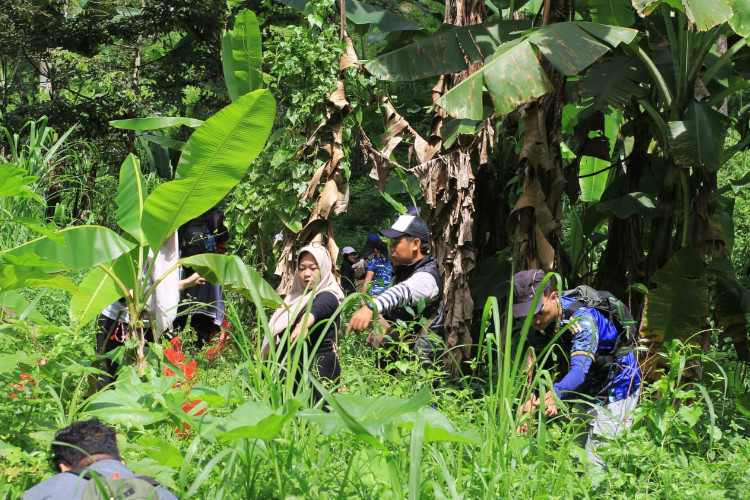 gerakan-5000-pohon-sesi-ketiga-digelar-di-lereng-selatan-gunung-penanggungan-–-times-banyuwangi