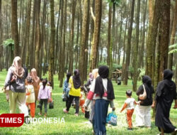 Hutan Pinus Praban Lintang Tegal, Incaran Baru Wisatawan di Libur Akhir Tahun 2025 – TIMES Banyuwangi