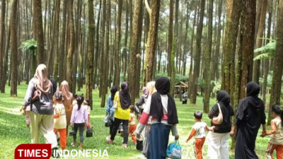 hutan-pinus-praban-lintang-tegal,-incaran-baru-wisatawan-di-libur-akhir-tahun-2025-–-times-banyuwangi