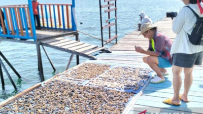 5-surga-wisata-bahari-kaltim-untuk-libur-tahun-baru-–-times-banyuwangi