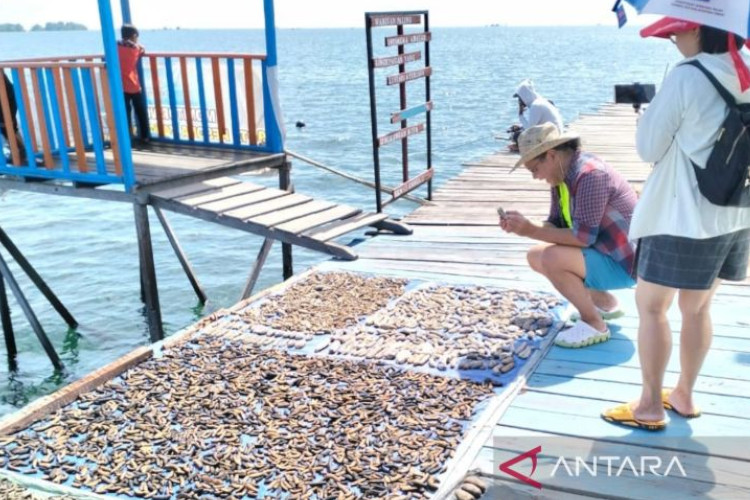 5-surga-wisata-bahari-kaltim-untuk-libur-tahun-baru-–-times-banyuwangi