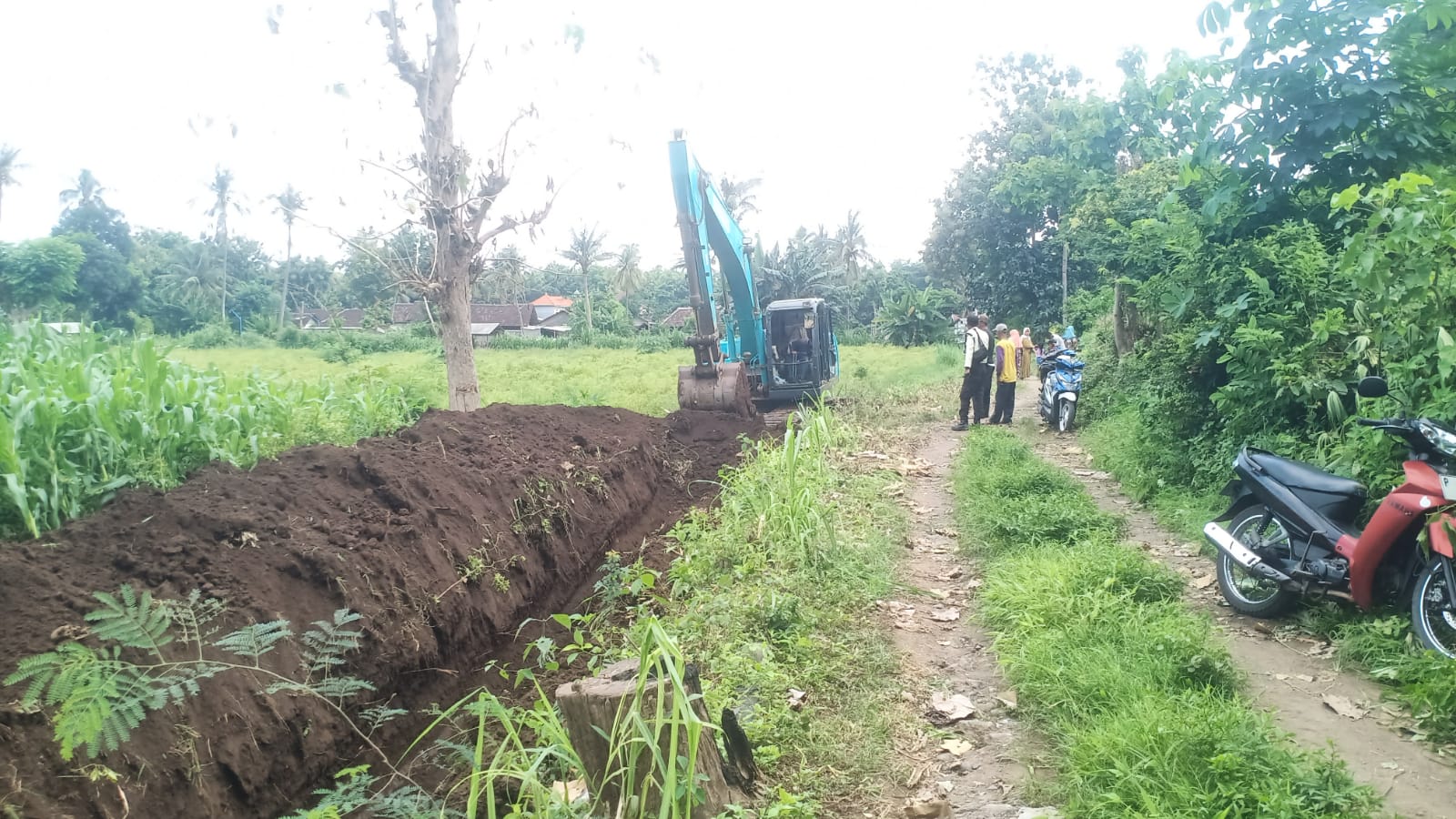 hujan-deras-picu-banjir-di-bangsring,-warga-gotong-royong-bangun-drainase-dengan-alat-berat