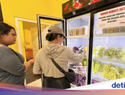 Tren Makan Anggur Sambut Tahun Baru di Banyuwangi, Penjualan Melesat 100%