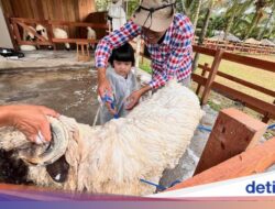 Menikmati Pedesaan Swiss di Ijen Farm House Banyuwangi Saat Libur Nataru